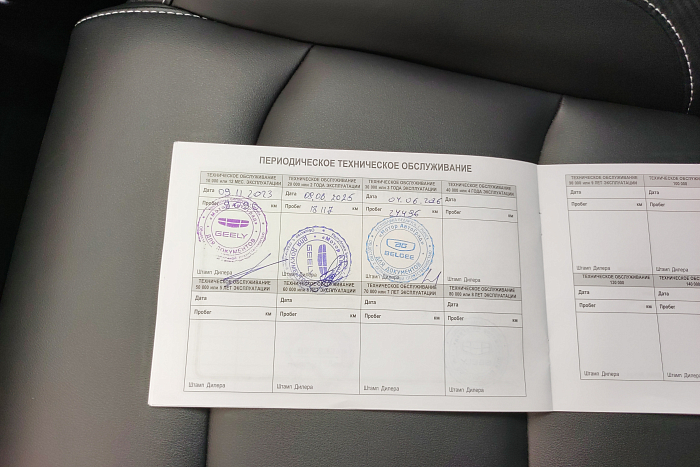 Geely Atlas Pro, Бензин, 1.5, Автомат, Передний привод, Внедорожник - 24