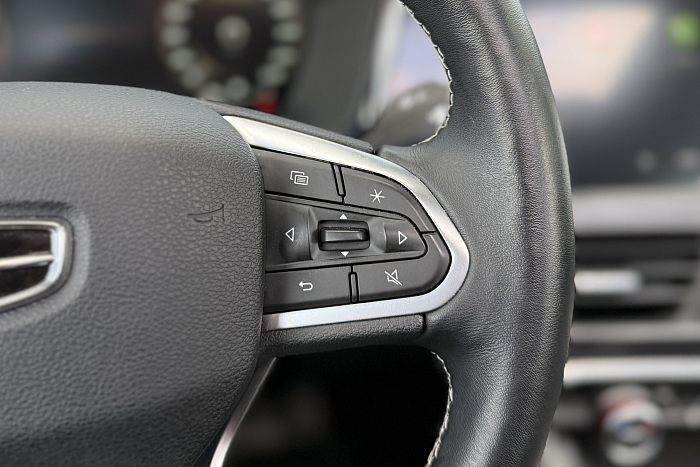 Geely Tugella, Бензин, 2.0, Автомат, Полный привод, Внедорожник - 15